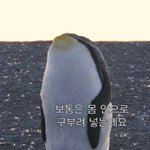 독감땜에 학교 <b>안</b><b>간</b> 애들 모여라~~~~