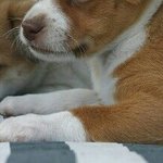 [인피니트] <b>우현</b>이 손만하얀이유 이거라고ㅠㅠㅠ
