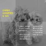 <b>산속</b>에서 버려져 사라질뻔한 두 아이