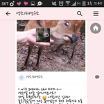 [EXO] 카톡보낼까? ㅇㄸ걍 <b>챌린지</b> 하는사람만하고 안함