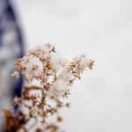 [이번주 스트레스 <b>해소</b> 글]