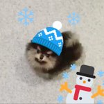 [방탄소년단] 태태가 <b>연탄</b>이랑 태앱