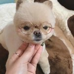 나 성형수술 해달라고 피피티 만들건데