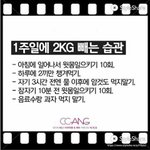 얘들아 이거 에바참치인지 좀 봐줘