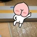 [EXO] 하..<b>앨범</b> 드디어 깐다ㅈㅂ<b>포카</b>중복ㄴㄴ