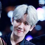 [백현] 뫄뫄 백현 표정 넘 <b>지적</b>이야 ㅠㅠ