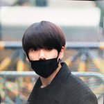 [방탄소년단] 뽀둥이들 뽀쟉뽀쟉 출근길