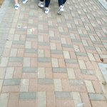 방학식 끝남 ㄱㅇㄷ