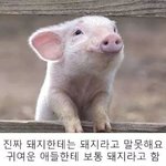 공부를안했는데노력할자신있으면<b>인문</b>계?특성화?
