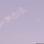 [댓글부탁해] 머리 긴 애들 얼마만에 길렀어?
