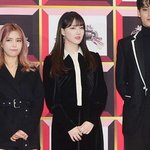 와 <b>예린</b> 비율