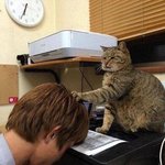 [NCT] 슴스테로 <b>유리</b>아이 ㅈㅂ 나왔으면 좋겠다,,