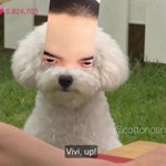 [EXO] 경수  포카 <b>합성</b> 개많아