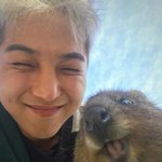 [댓글부탁해] 얘들아 ㅈㅂ 추반좀 해조ㅠ