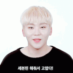[세븐틴] <b>연말</b>틴이야ㅠㅠㅠㅠ