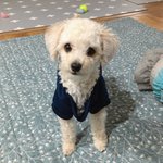 [댓글부탁해] 크면서 얼굴 <b>변해</b>?