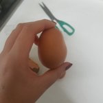 미친 계란 졵나이상하게생김