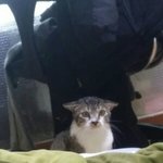 <b>경희대</b> 다니시는 언니가 나한테 공짜로 과외해주시겠대
