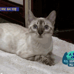 [BTOB] 삼이 <b>공듀님</b>