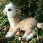 [드루와] 헐 얘들아 이거 나만 몰랐냐