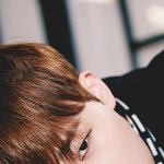 [인피니트] 토기들 <b>군주</b> 투표 다 했니^^