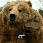나 복코수술하기로 했다ㅠ