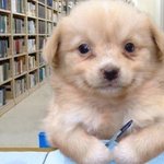 사람은 살면서 세가지의 용기가 필요한듯