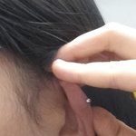 <b>파니</b>들앙... 이거 살튀야??