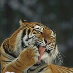 어차피 방학했는데