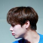 [EXO] 옵빠 턱선 <b>사라</b>하자