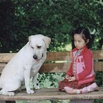 ❄(스압)2017년 종합링크모음1❄