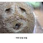 [댓글부탁해] 이때까지 외국인 짝남 다 주작임?