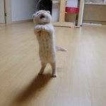 [드루와] 좋아하는 애 <b>초성</b> 쓰면 2018년에 잘 된다!!