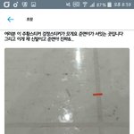 [EXO] 사<b>녹</b> <b>무대</b>가 이럴수있음?