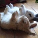 [댓글부탁해] 판녀들 다 반배정헷<b>꿀꿀</b>❤