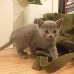 [드루와] +) 추가 디패 <b>연애설</b> 정보임