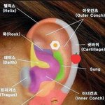 [댓글부탁해] 귀 뚫는 <b>위치</b> 추천좀