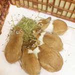 [알려주세요] 50대 여자 패딩 추천 해주세요!!