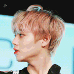 [박지훈] 사랑스러움 뿜뿜