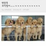 [댓글부탁해] <b>주황빛</b>도는 립 잘어울리면 웜톤인가?