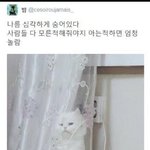 [드루와] 아 님들 저 메이즈<b>러너</b> 짱팬인데