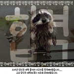 [댓글부탁해] <b>민</b><b>증</b>사진팁좀