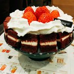 [댓글부탁해] 너흰 카톡 평생 안할수있어??