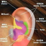 [조언부탁해] 피어싱 해본애들ㅠㅠㅠㅜㅜ제발 쿄꾝 들어와줘ㅜㅠ