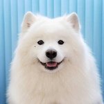 [드루와] 처음에 <b>유사</b>연애였는데 갈수록..??