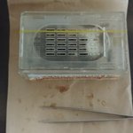 [퍼날라주셈] 오늘 봉침(벌침) 백여마리 맞았습니다!!