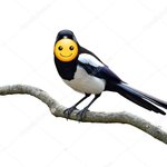 [<b>꼬랑</b>단] 밑글 ㅁㄱ)꼬힛❤