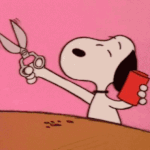 여드름있는데 <b>메베</b> 쓰는거 ㅇㄸ?