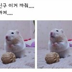 [댓글부탁해] <b>각자</b> 최애 유튜버 쓰고가자!