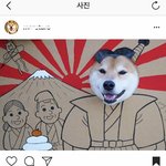 [방탈죄송] <b>인별</b> 스타 강아지 포스트에 버젓이 욱일기 올리는 ㅡㅡ